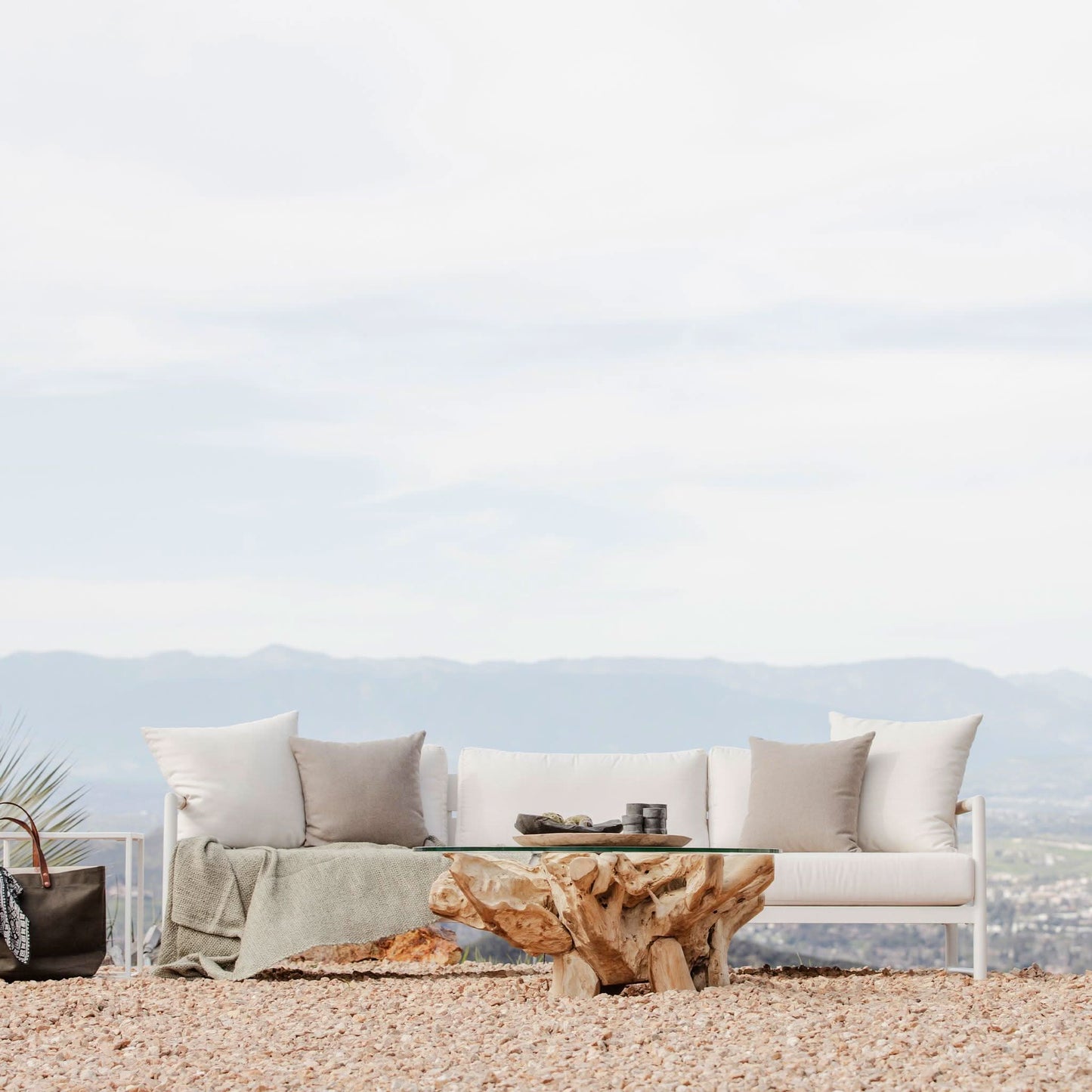 Pure Root Coffee Table 1000