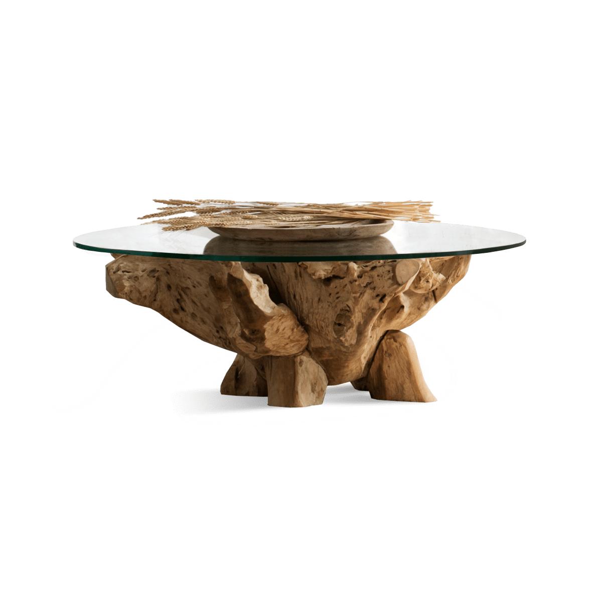 Pure Root Coffee Table 800
